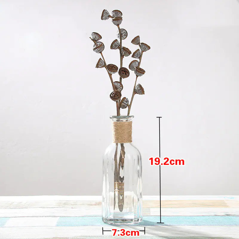 Gerro de Cristall Creatiu per a Decoració de la Llar amb Plantes