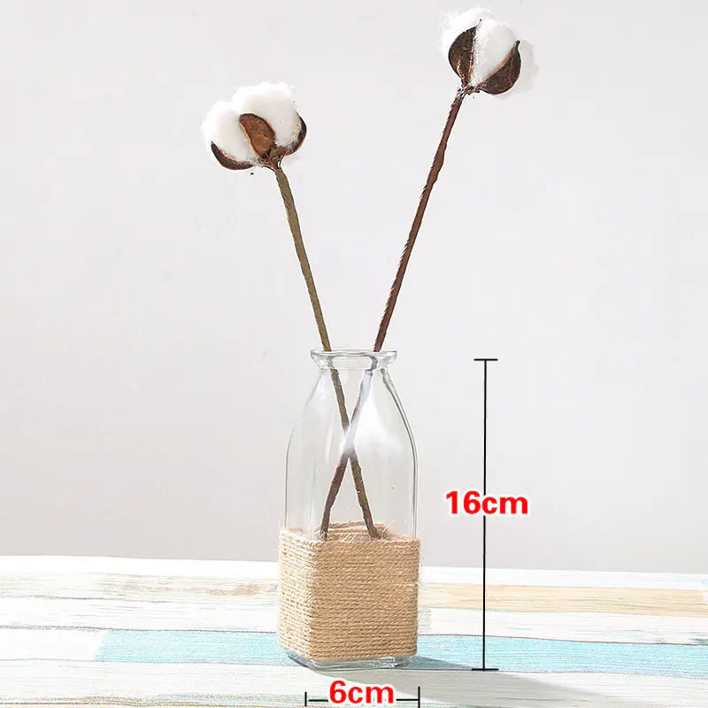Gerro de Cristall Creatiu per a Decoració de la Llar amb Plantes