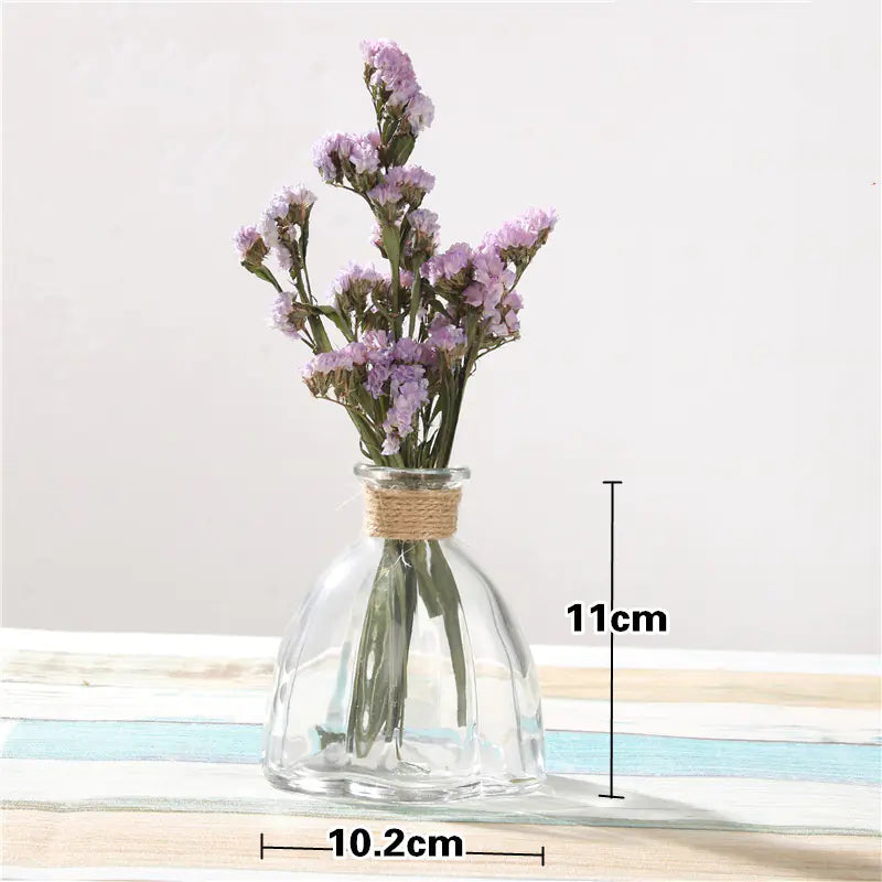 Gerro de Cristall Creatiu per a Decoració de la Llar amb Plantes