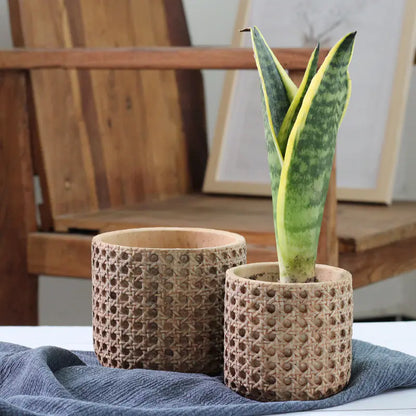Vintage Mediterranean Cement Pot