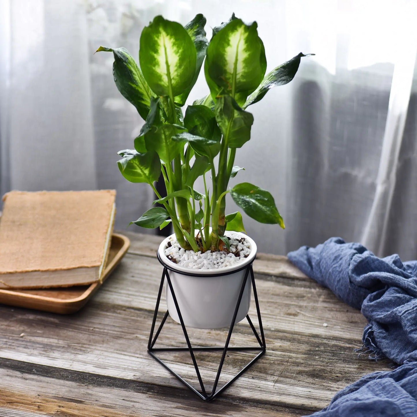 Nordic Triangular Ceramic Planter Set with Iron Stand