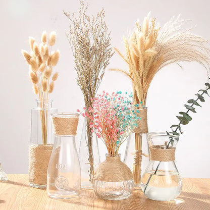 Creative Glass Vase for Home Decor with Plants