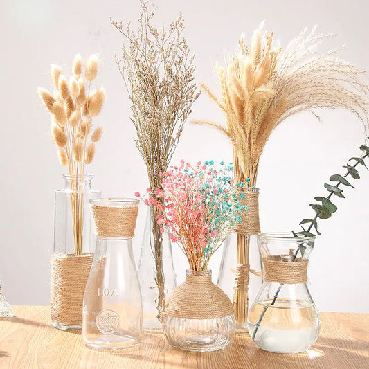 Gerro de Cristall Creatiu per a Decoració de la Llar amb Plantes