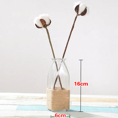 Creative Glass Vase for Home Decor with Plants