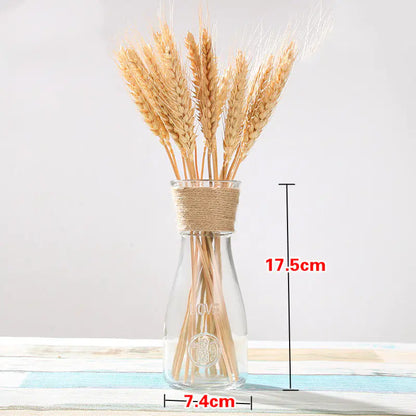 Creative Glass Vase for Home Decor with Plants