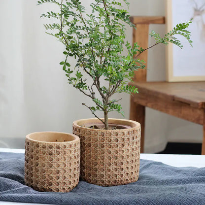 Vintage Mediterranean Cement Pot