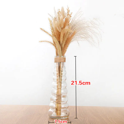 Creative Glass Vase for Home Decor with Plants